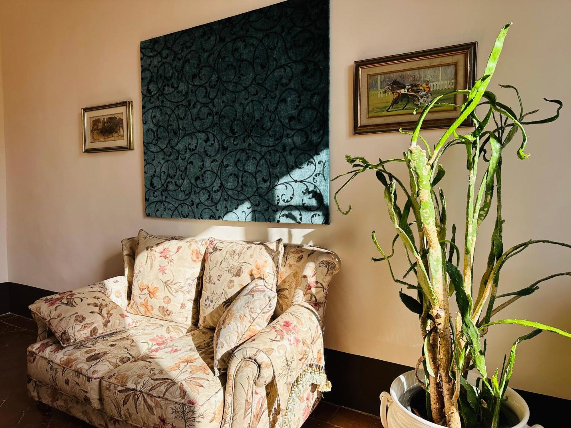 Domus An - Sant'Agata-Historical Home-Very Central 锡耶纳 外观 照片
